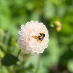 Goikola Casa di campagna Deba