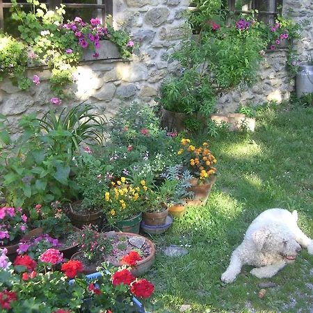 Goikola Kır Evi